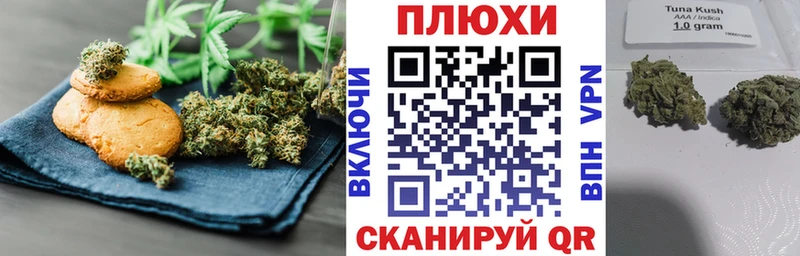блэк спрут ТОР  маркетплейс состав  Canna-Cookies конопля  Йошкар-Ола 