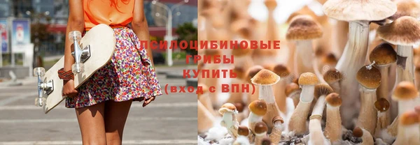 ешки Невельск