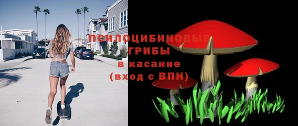 ПСИЛОЦИБИНОВЫЕ ГРИБЫ Ладушкин