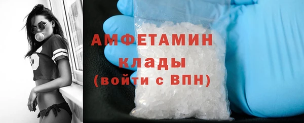 ПСИЛОЦИБИНОВЫЕ ГРИБЫ Ладушкин