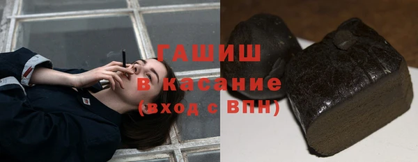 твердый Лагань