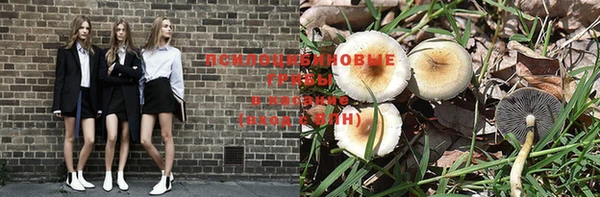 ПСИЛОЦИБИНОВЫЕ ГРИБЫ Лихославль