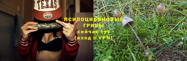 ПСИЛОЦИБИНОВЫЕ ГРИБЫ Ладушкин