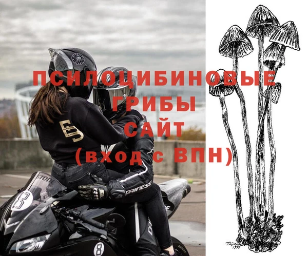 ПСИЛОЦИБИНОВЫЕ ГРИБЫ Ладушкин