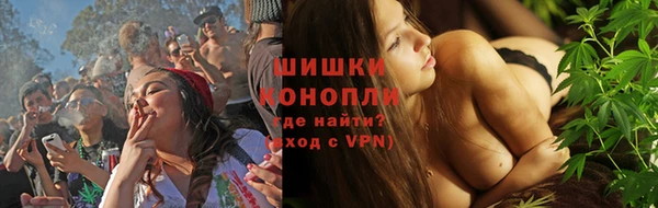 твердый Лагань