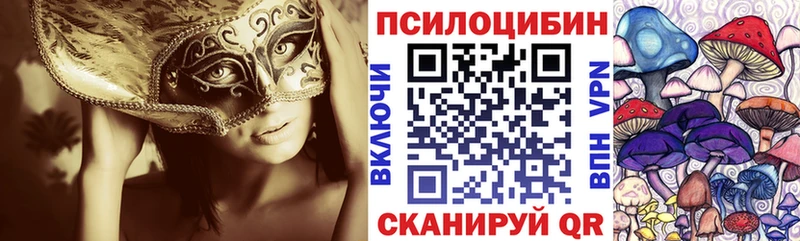 даркнет сайт  Йошкар-Ола  Псилоцибиновые грибы Cubensis 