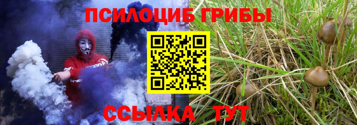 Псилоцибиновые грибы GOLDEN TEACHER Йошкар-Ола